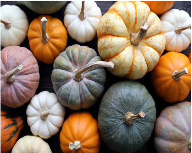 Fresh pumkin Color Vibrant Orange Packaging In bags of 25 kg Place of Origin Made in Uzbekistan Texture Superior Taste And Texture - Image 3